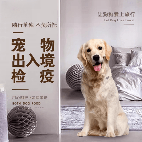 巴州宠物托运到哥伦比亚猫狗宠物入境规定和