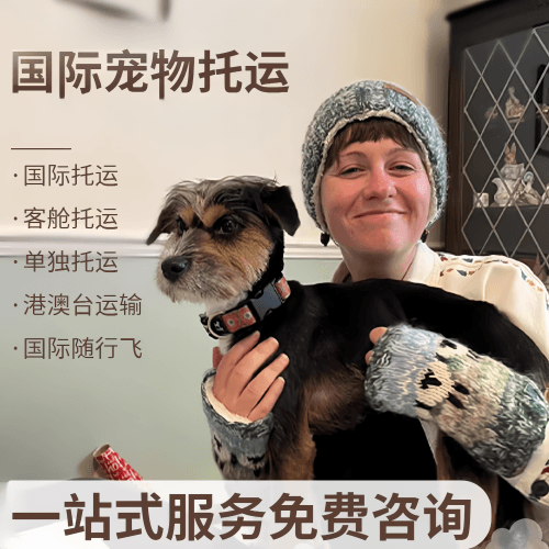 巴州国际宠物托运到阿根廷宠物入境规定和要