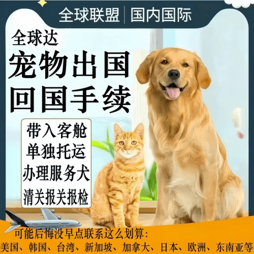 巴州宠物托运到柬埔寨宠物入境规定和要求