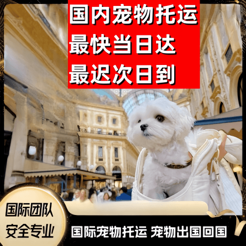 巴州到澳大利亚（澳洲）宠物入境规定和要求