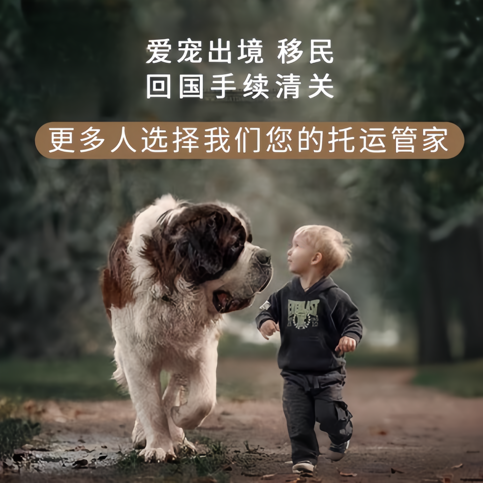 满财巴州宠物全球达宠物托运在遵守入境目的地政策的条件