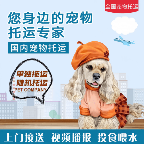 满财巴州宠物全球达宠物托运作为专业的宠物运输代理机构